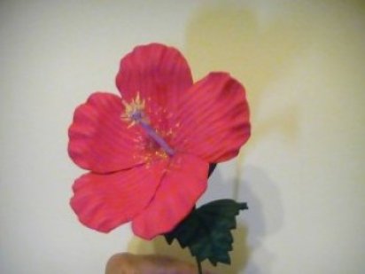 best time to plant plants in texas