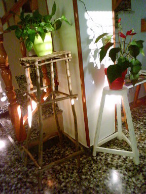 Contenedores para plantas | Cuidar de tus plantas es facilisimo.com