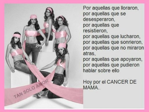 Resultado de imagen para cancer de mama pdf