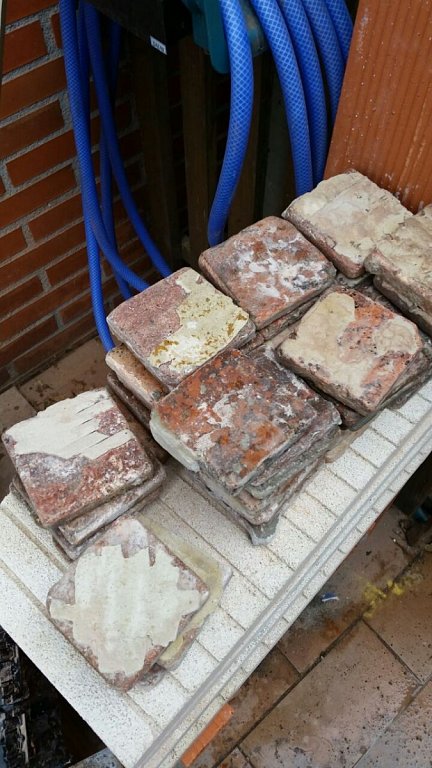 Imagen 22