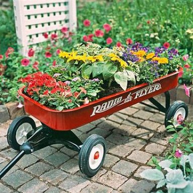 Contenedores para plantas | Cuidar de tus plantas es facilisimo.com