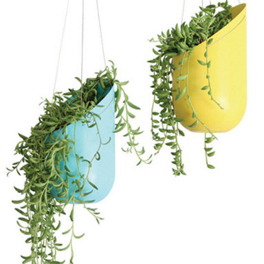 Contenedores para plantas | Cuidar de tus plantas es facilisimo.com
