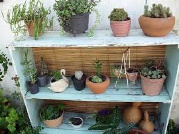  Crear jardín o terraza estilo vintage