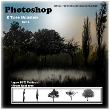  5 pinceles gratuitos de árboles para tus montajes fotográficos