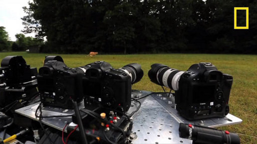  Cómo National Geographic capturó un guepardo a toda velocidad