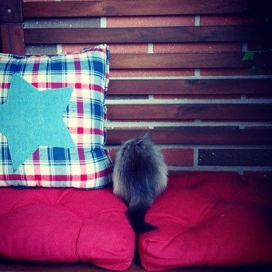 La decoración de mi balcon (fotos)