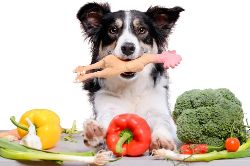 Alimentos tóxicos para perros