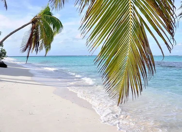 Shoal Bay