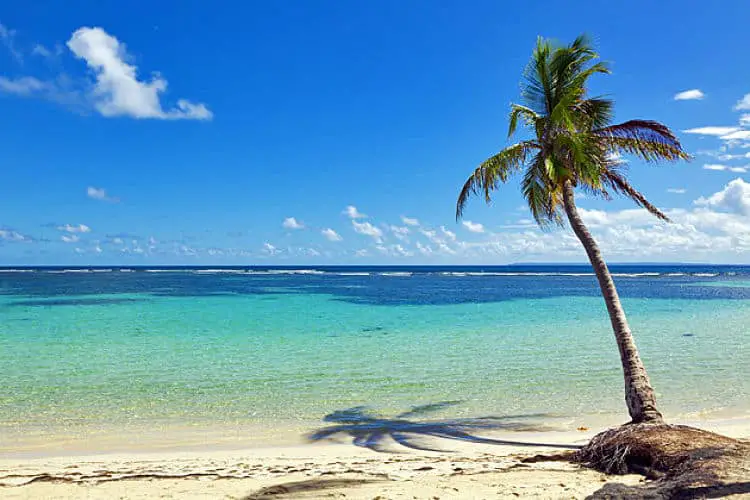 Sainte Anne Beach