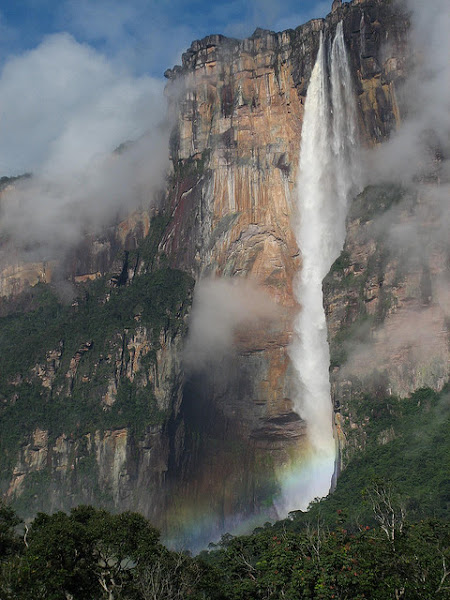 Imagen 0
