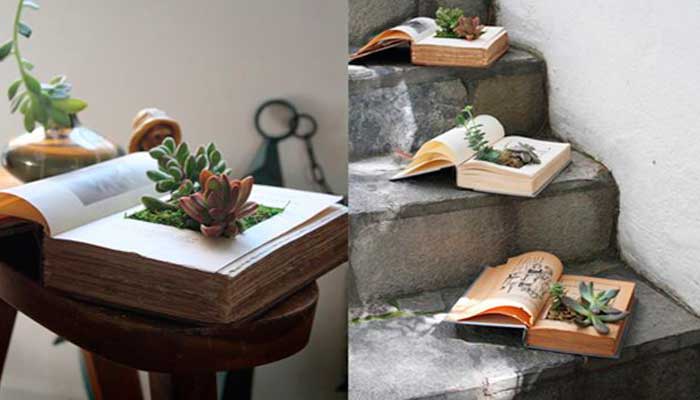 macetas, reciclaje, plantas