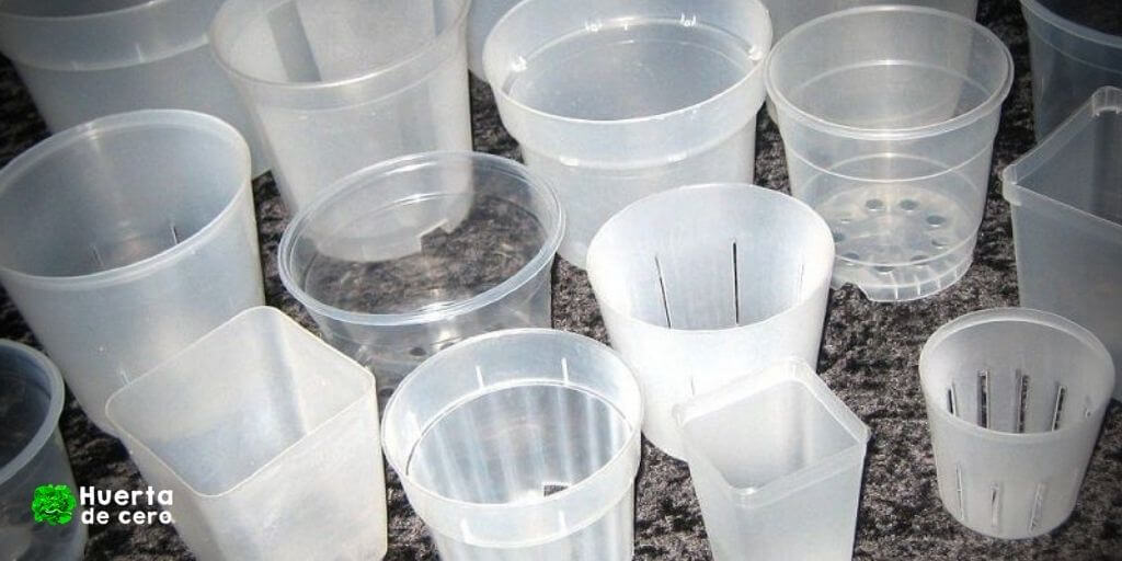 Macetas transparentes para orquídeas