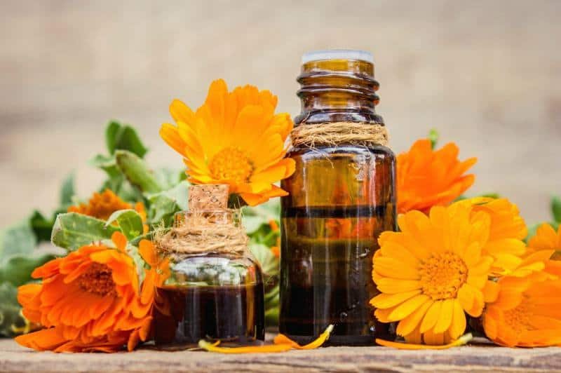 aceite esencial de arnica usos
