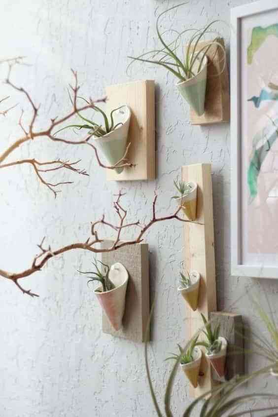 plantas aereas III