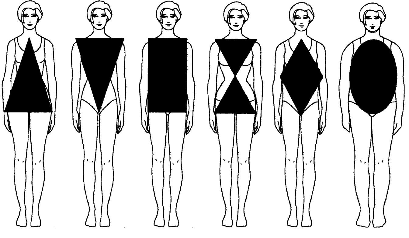 tipo de cuerpos