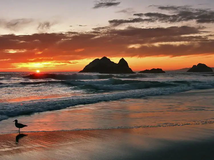 Atardecer en Ocean Beach