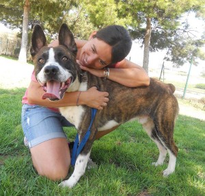 perro en adopcion