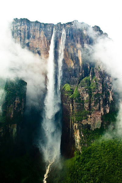 Imagen 0