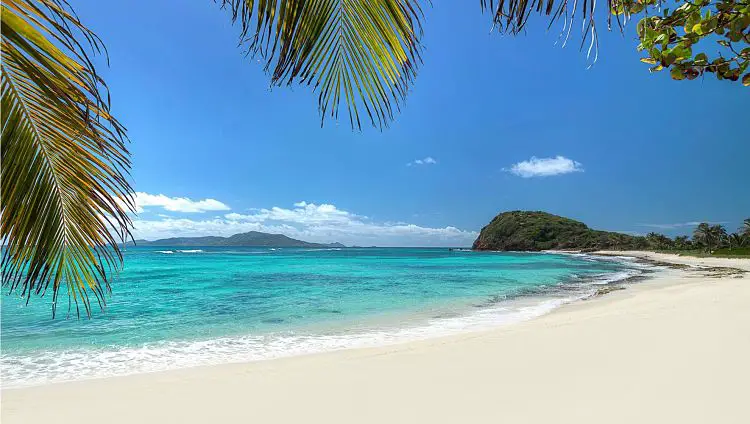 Palm Island