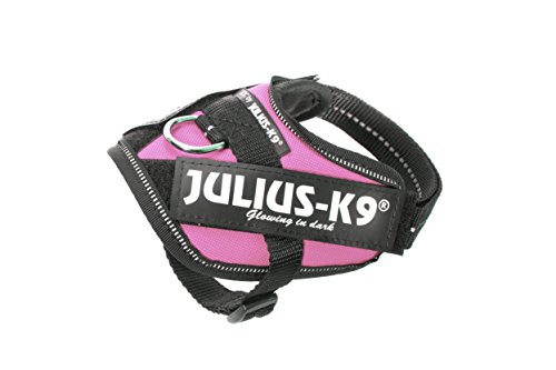 Julius-K9 16IDC - Power Harness