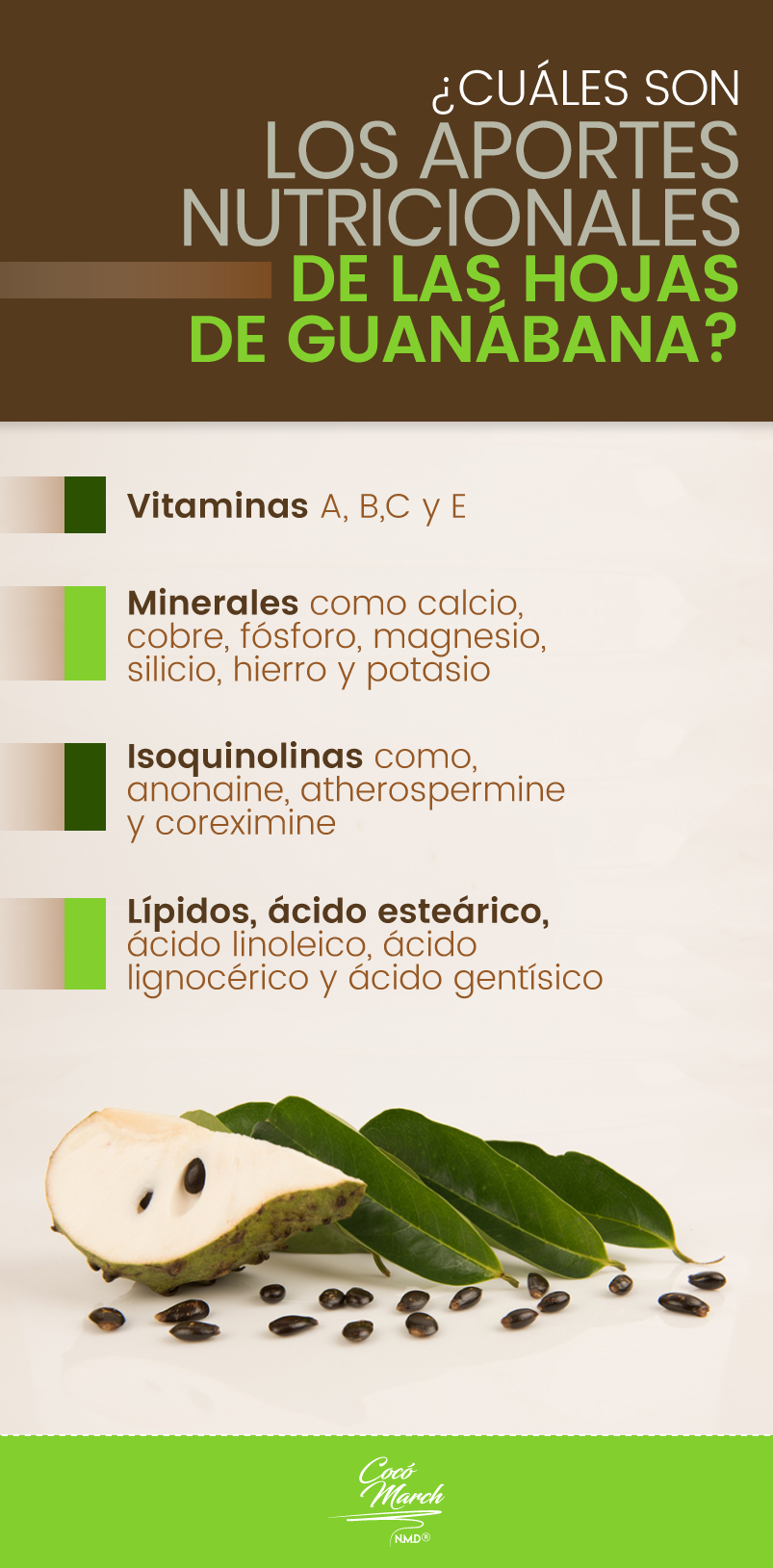 aportes-de-las-hojas-de-guanabana