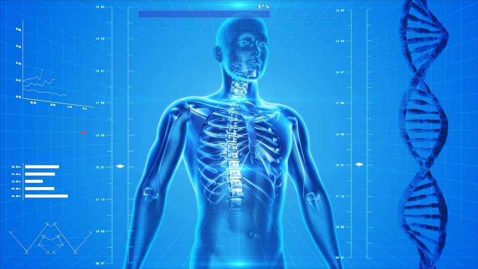 Dolor lumbar, todo lo que tienes que saber 